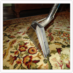 carpet cleaning